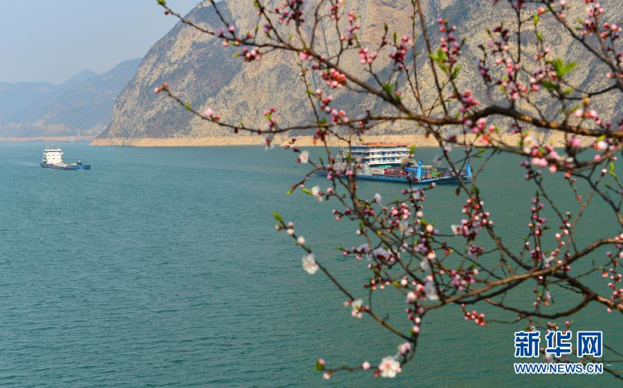 #（生態(tài)）（4）春到三峽景如畫