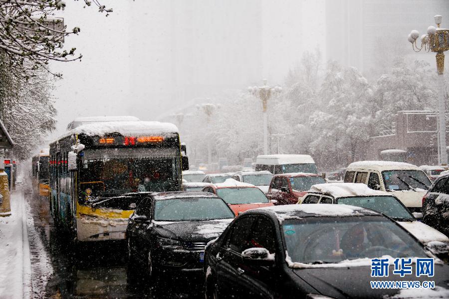 （生態(tài)）（１）烏魯木齊四月飄雪