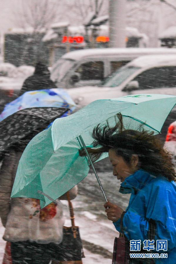（生態(tài)）（２）烏魯木齊四月飄雪