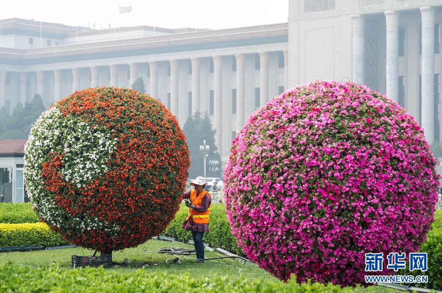 （社會(huì)）（3）天安門廣場(chǎng)“五一”花壇效果初顯