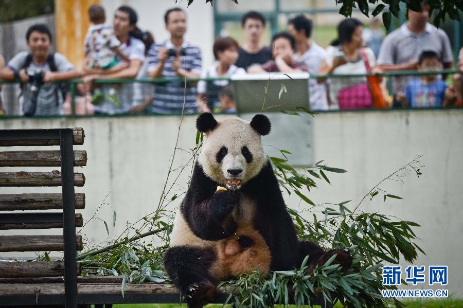 （晚報(bào)）（1）動(dòng)物享用“私人訂制”月餅過中秋