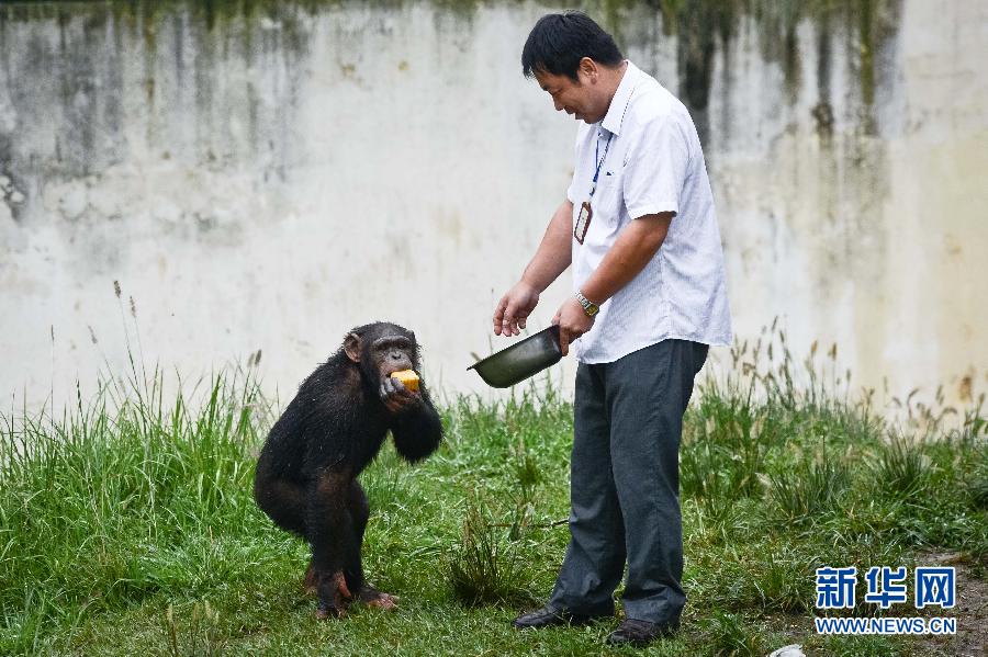 （晚報(bào)）（3）動(dòng)物享用“私人訂制”月餅過(guò)中秋