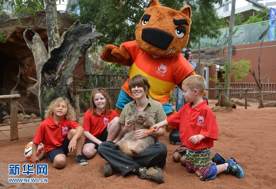 （體育）（2）足球——澳大利亞發(fā)布2015亞洲杯吉祥物