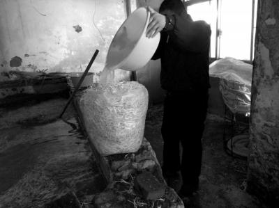 北京黑作坊制售豆芽使用6種化學藥劑 日售4500斤