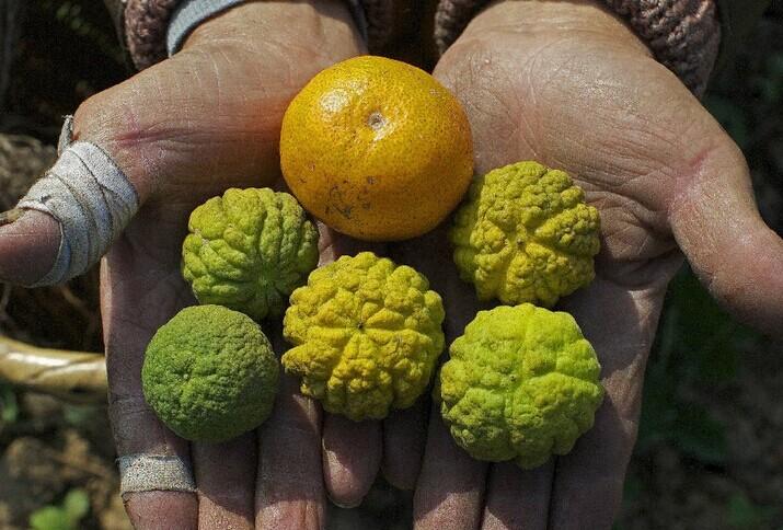 點擊進(jìn)入下一頁